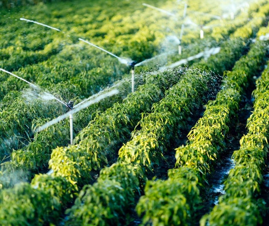 Smart Irrigation